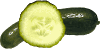 Bild Information