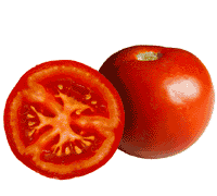 Tomate